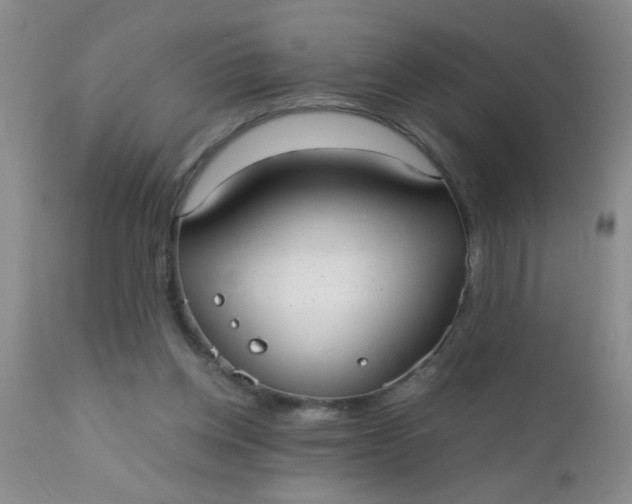 X0000110950158200907022205