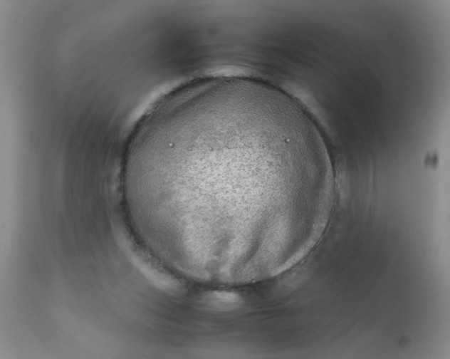 X0000110950159200907022205