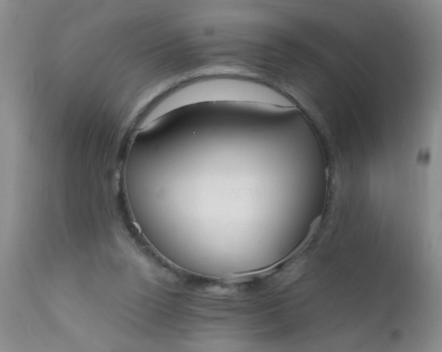 X0000110950160200907022205