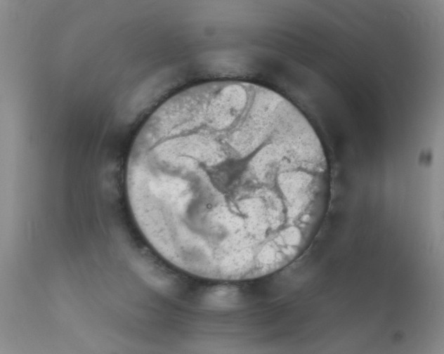 X0000110950162200907022206