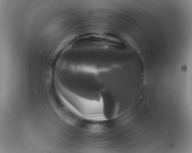 X0000110950163200907022206