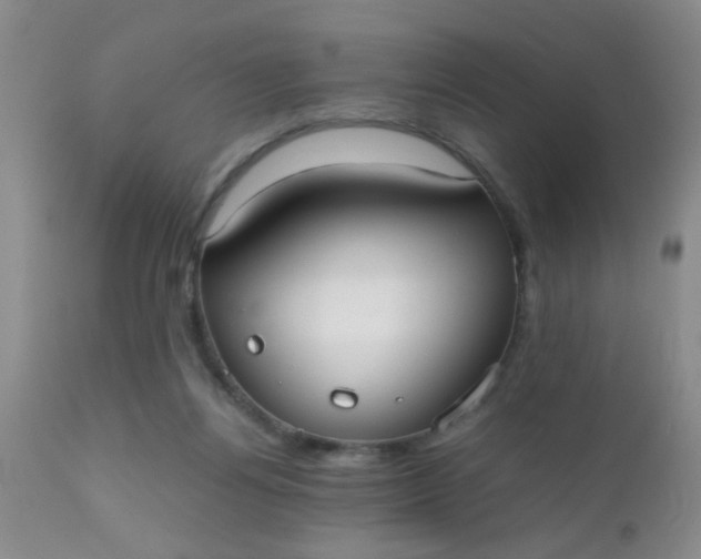 X0000110950164200907022206