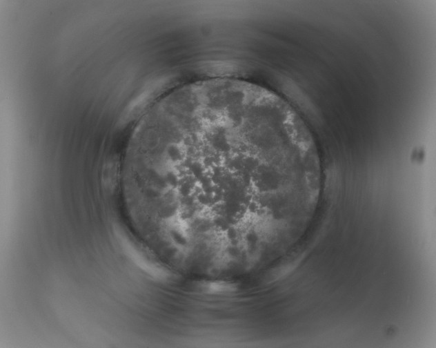 X0000110950165200907022206