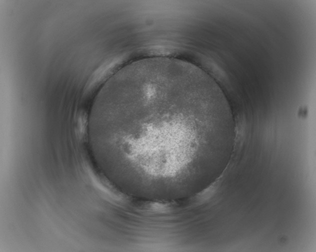 X0000110950166200907022206