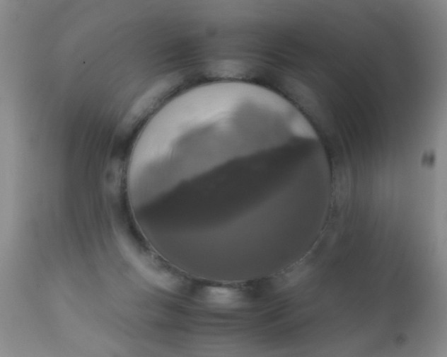 X0000110950167200907022206