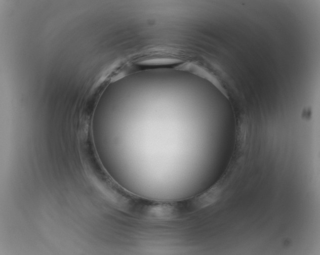 X0000110950168200907022206