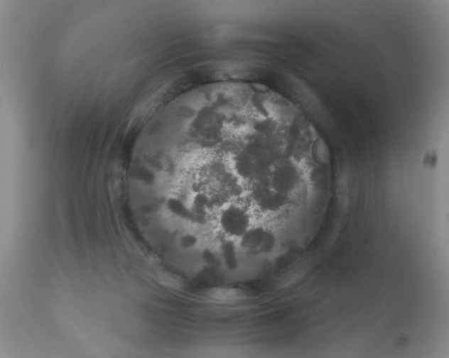 X0000110950169200907022206