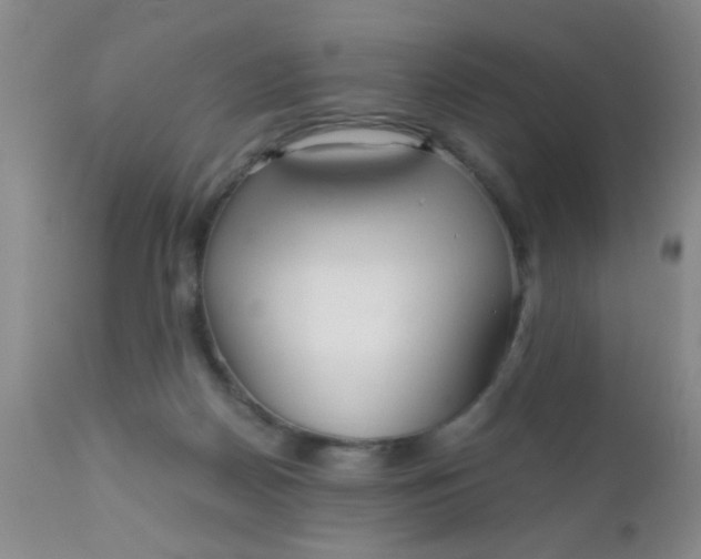 X0000110950170200907022206