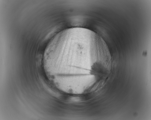 X0000110950171200907022206