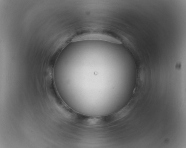 X0000110950172200907022206