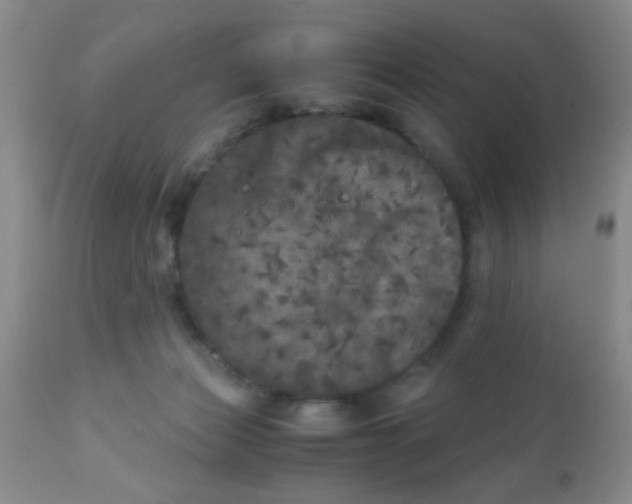 X0000110950173200907022206