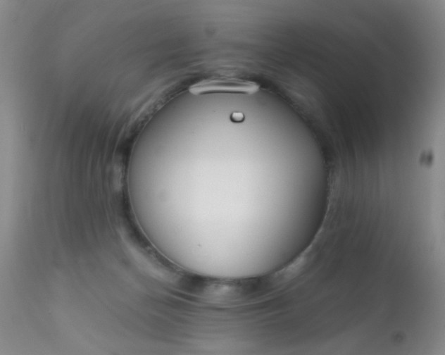 X0000110950174200907022206