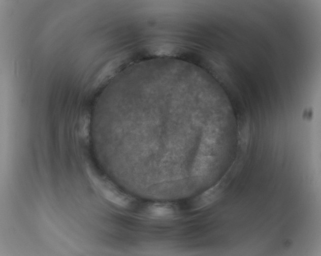 X0000110950175200907022206