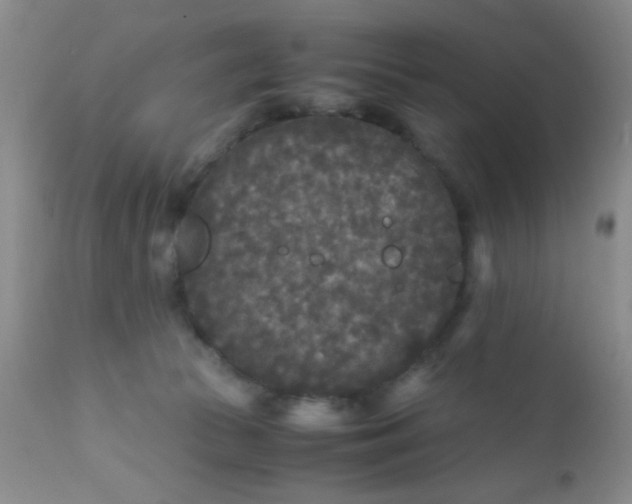 X0000110950177200907022206