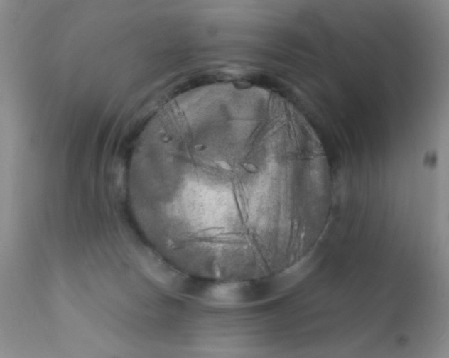 X0000110950178200907022206