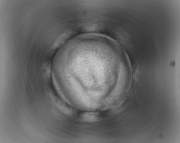 X0000110950179200907022206