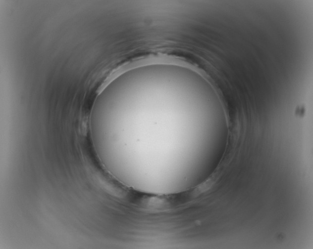 X0000110950180200907022206