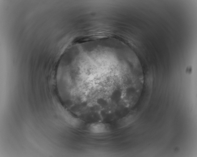 X0000110950181200907022206