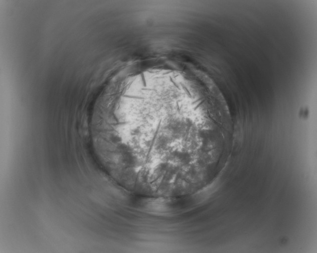 X0000110950182200907022206