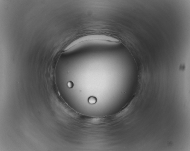 X0000110950184200907022206