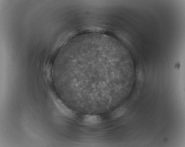 X0000110950185200907022206