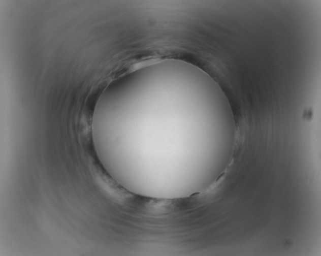 X0000110950186200907022206