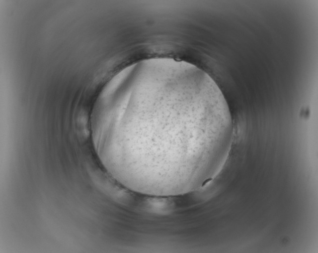 X0000110950187200907022206