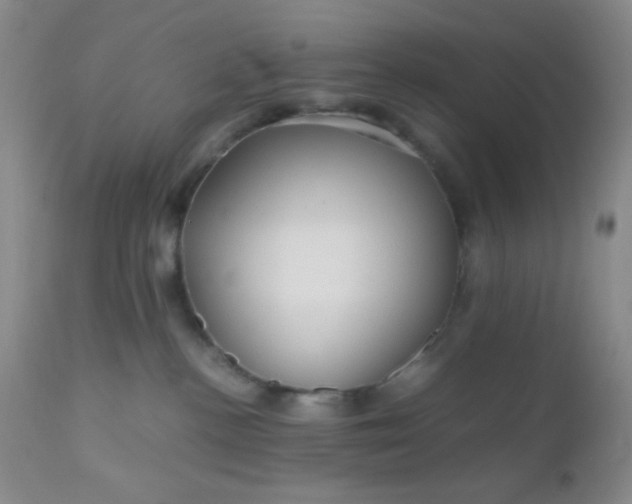 X0000110950188200907022206