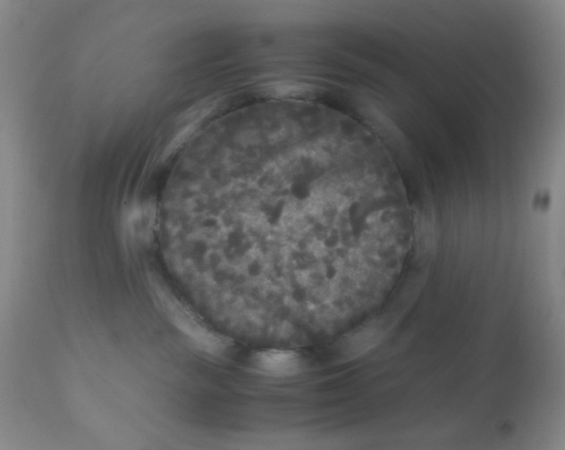 X0000110950189200907022206