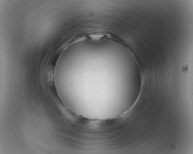 X0000110950190200907022206