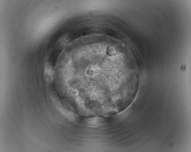 X0000110950191200907022206