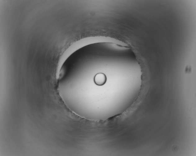 X0000110950192200907022206