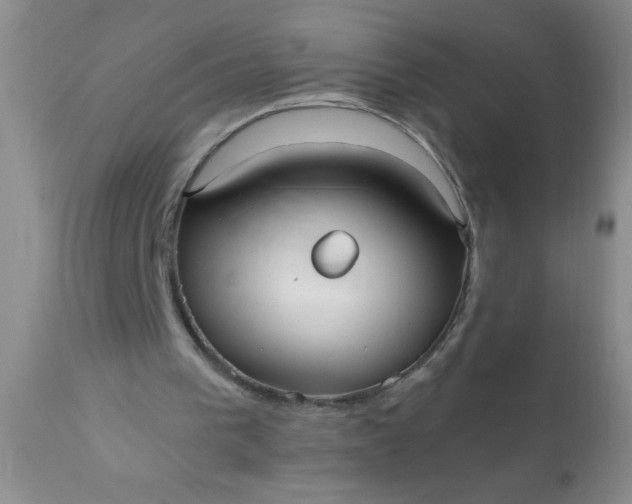 X0000110950193200907022205