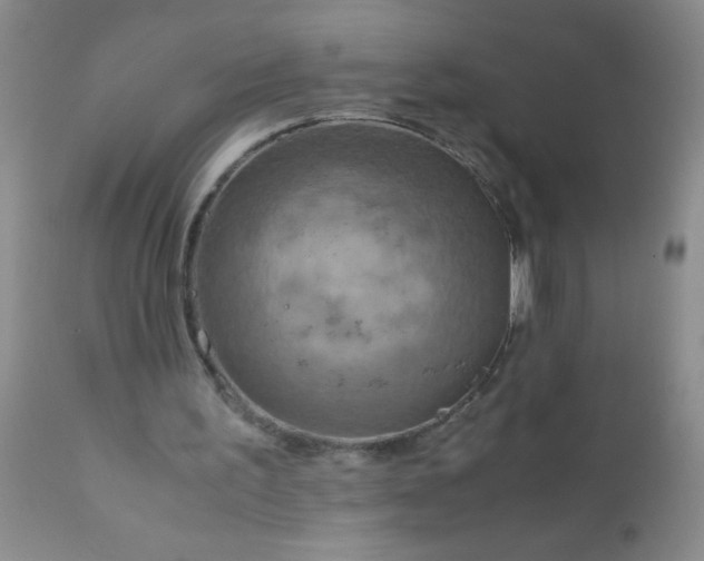 X0000110950195200907022205