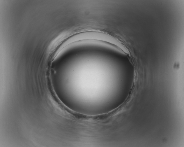 X0000110950197200907022205