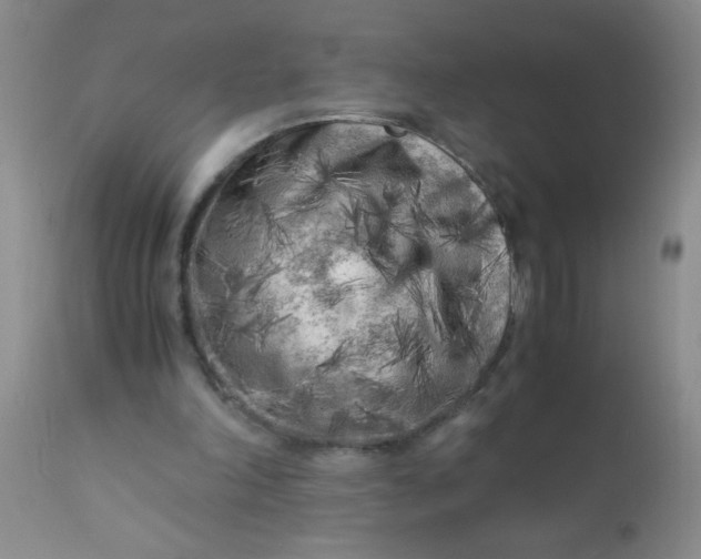 X0000110950198200907022205