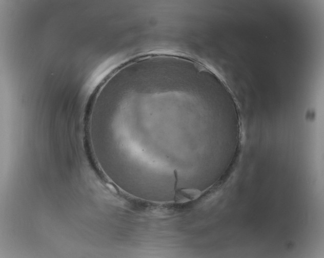 X0000110950199200907022205