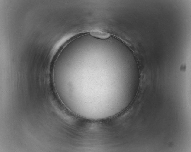 X0000110950200200907022205