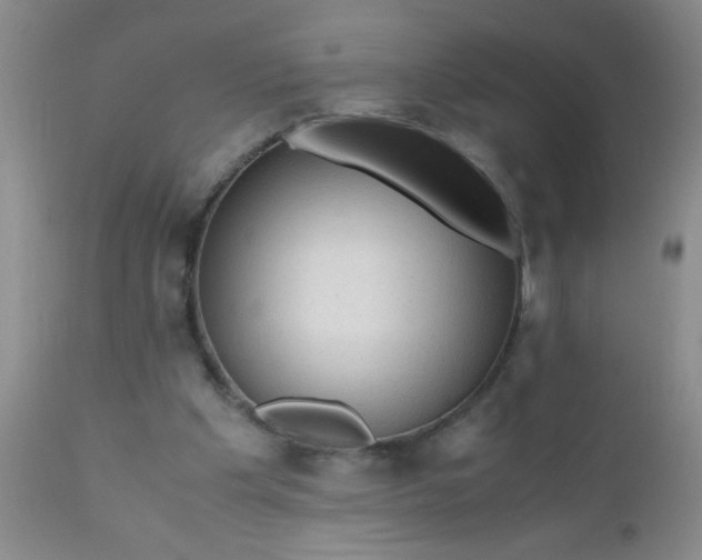 X0000110950201200907022205