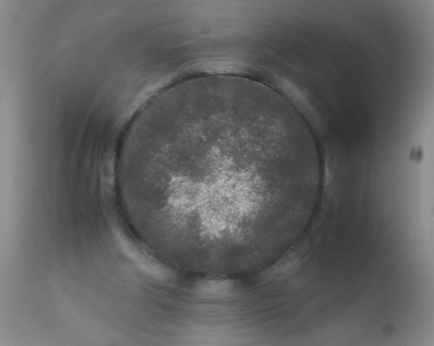 X0000110950202200907022205