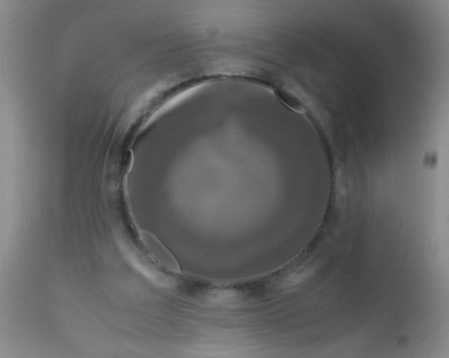 X0000110950203200907022205