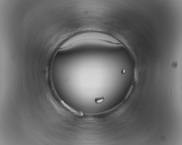 X0000110950205200907022205