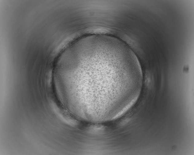 X0000110950206200907022205