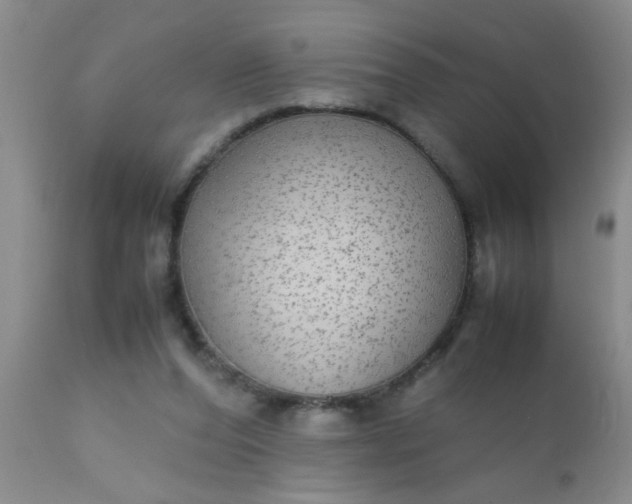 X0000110950208200907022205