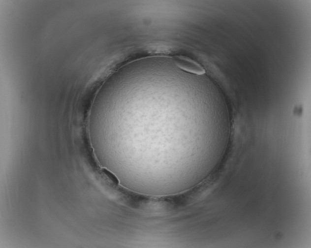 X0000110950209200907022205