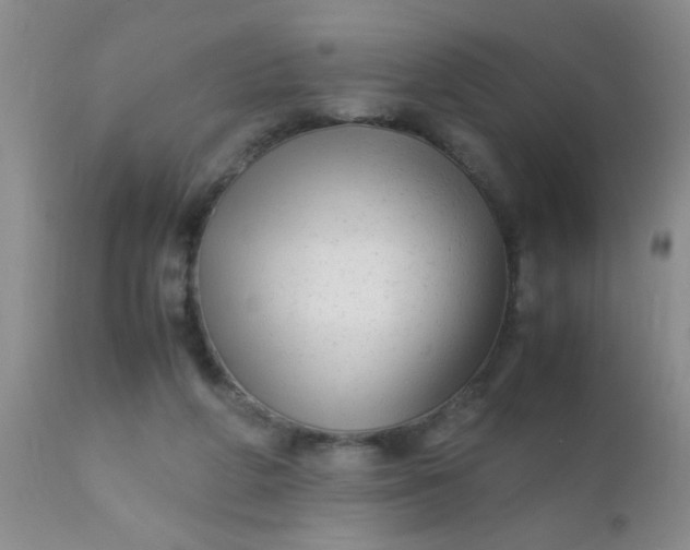 X0000110950210200907022205