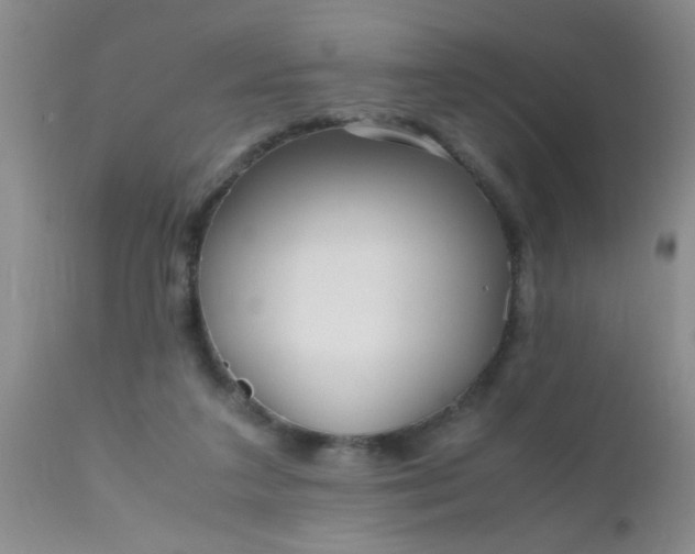 X0000110950211200907022205