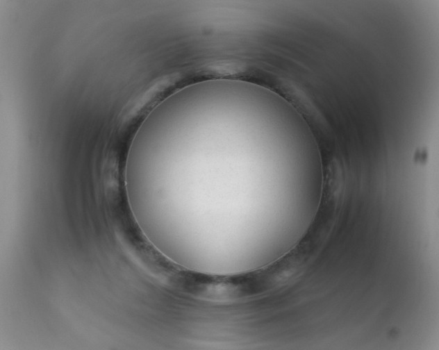 X0000110950212200907022205