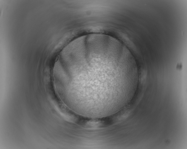 X0000110950213200907022205