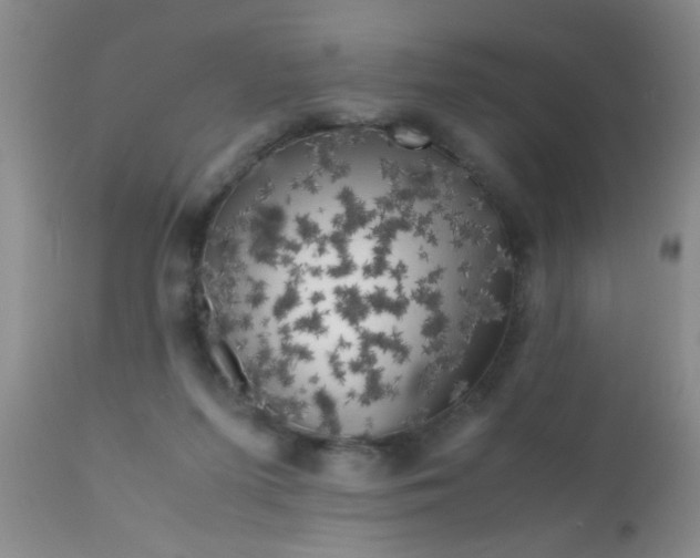 X0000110950215200907022205